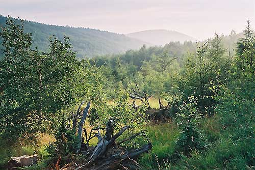 srebrna góra, podfortami, galeria, natura