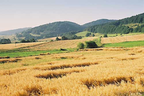 srebrna góra, podfortami, galeria, natura