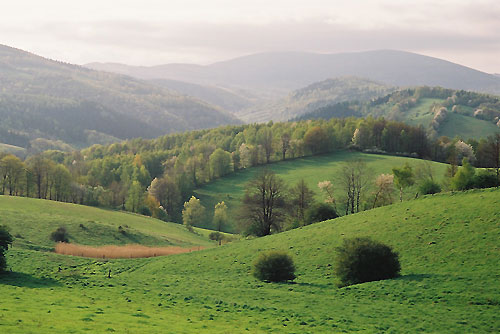 srebrna góra, podfortami, galeria, natura