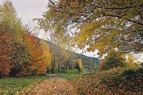 srebrna góra, podfortami, galeria, natura