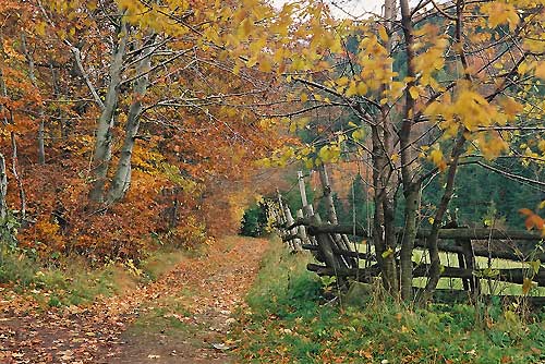 srebrna góra, podfortami, galeria, natura