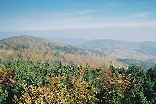 srebrna góra, podfortami, galeria, natura