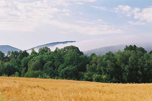 srebrna góra, podfortami, galeria, natura