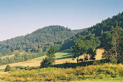 srebrna góra, podfortami, galeria, natura