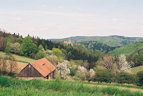 srebrna góra, podfortami, galeria, natura