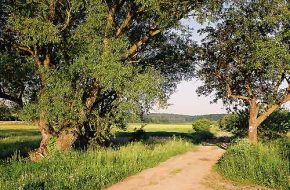 srebrna góra, podfortami, galeria, natura, okolica