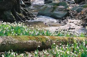 srebrna góra, podfortami, galeria, natura, okolica