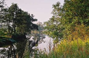 srebrna góra, podfortami, galeria, natura, okolica