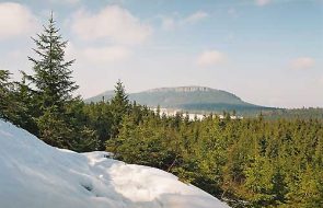 srebrna góra, podfortami, galeria, natura